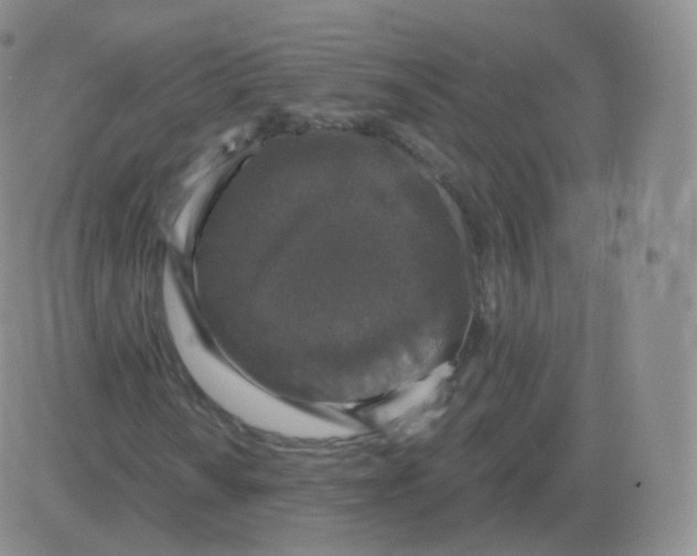 X0000082681010200702232132