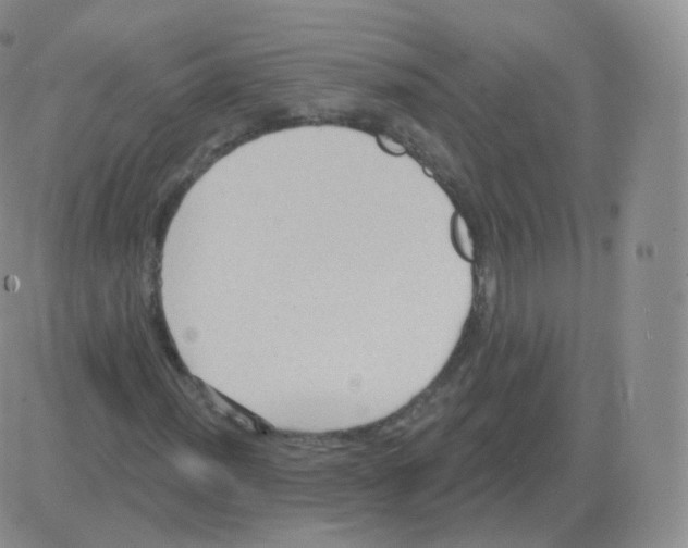 X0000082681012200702232132