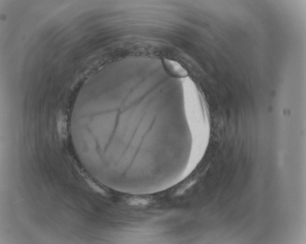 X0000082681013200702232132