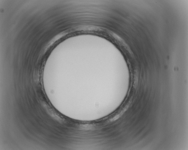 X0000082681017200702232132