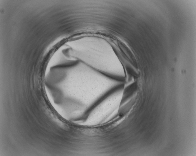 X0000082681018200702232132