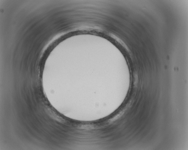 X0000082681021200702232132