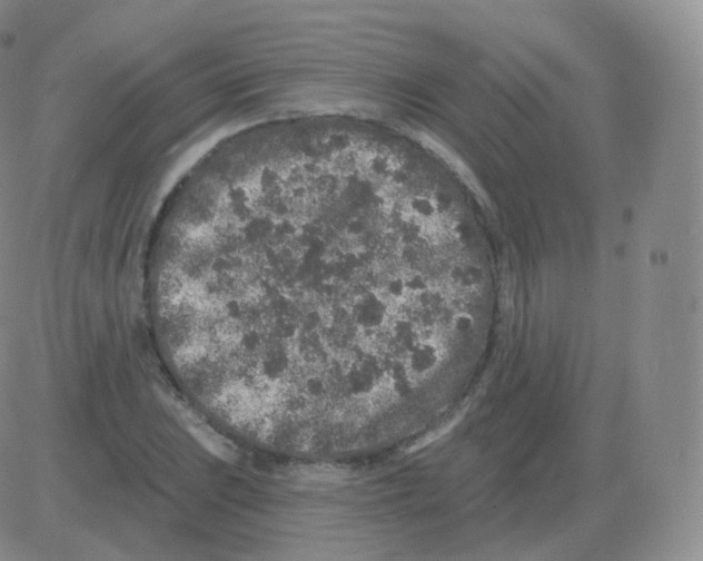 X0000082681023200702232132