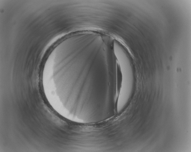 X0000082681024200702232132