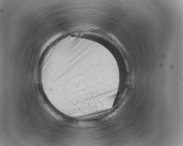 X0000082681026200702232133