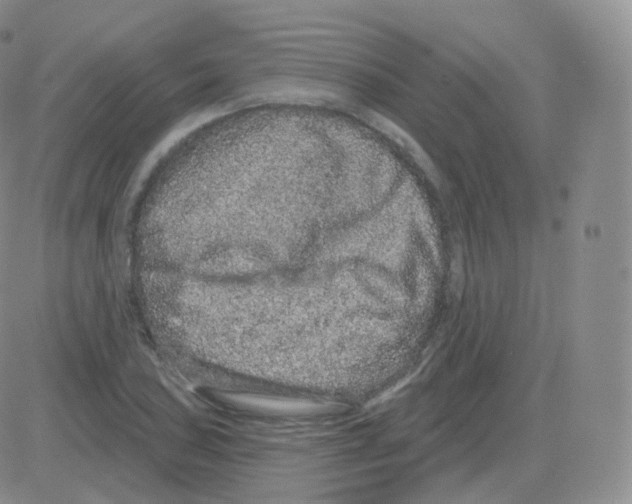 X0000082681027200702232133