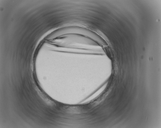 X0000082681028200702232133