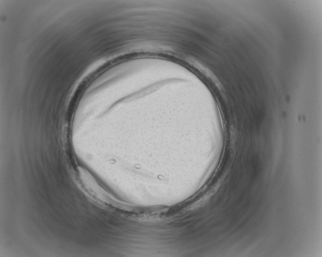 X0000082681029200702232133