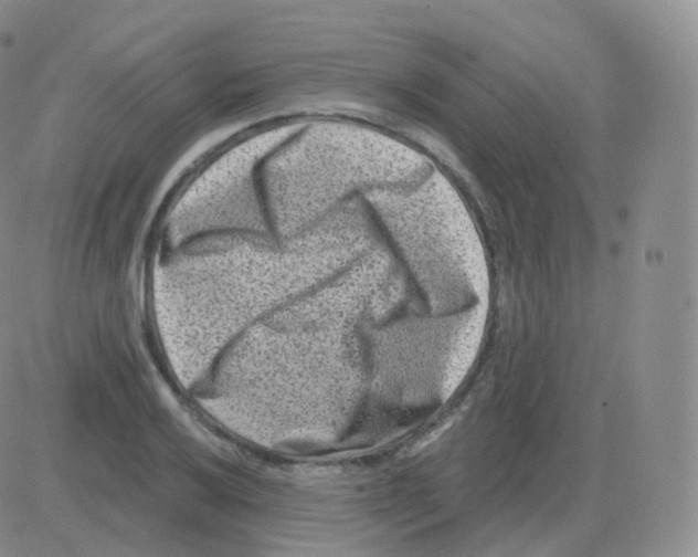 X0000082681032200702232133