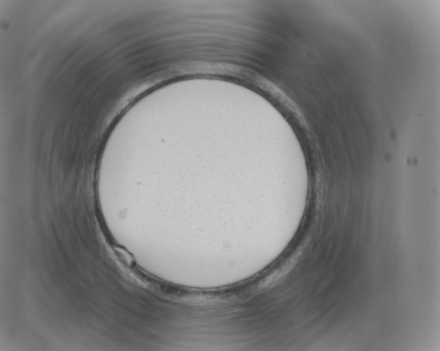 X0000082681033200702232133