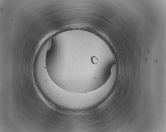 X0000082681034200702232133