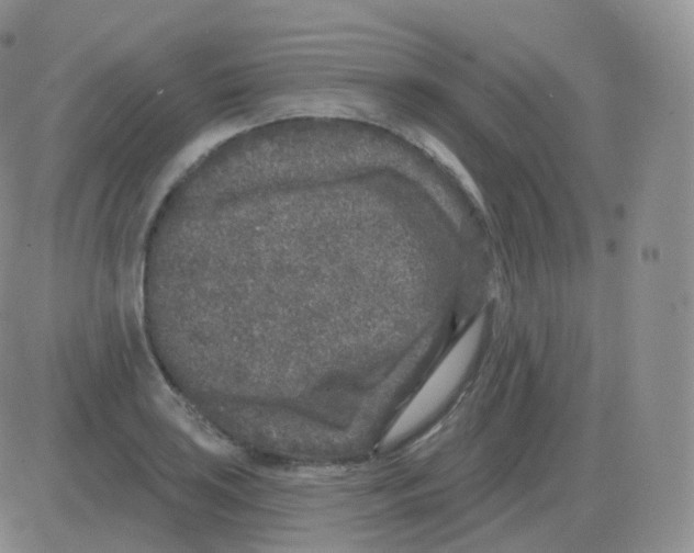 X0000082681035200702232133