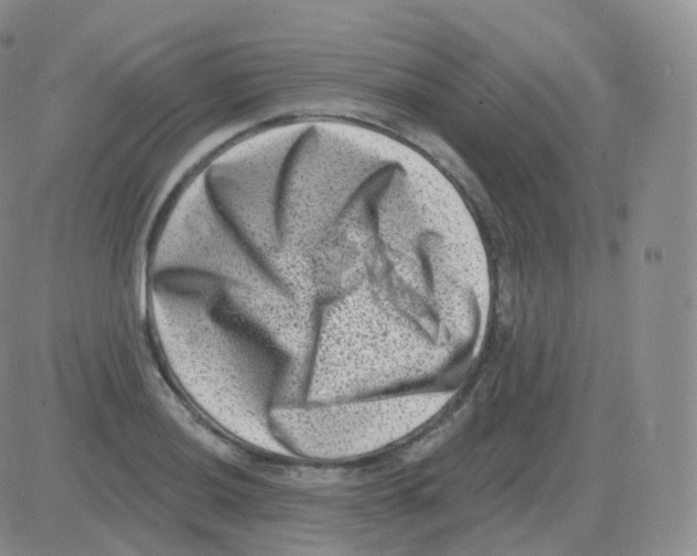 X0000082681036200702232133