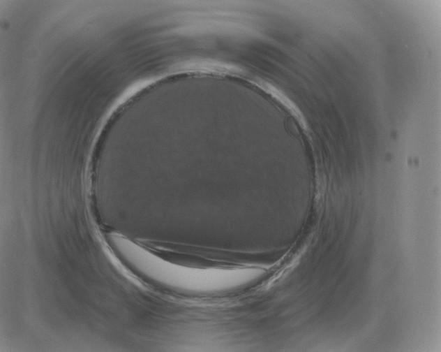 X0000082681037200702232133