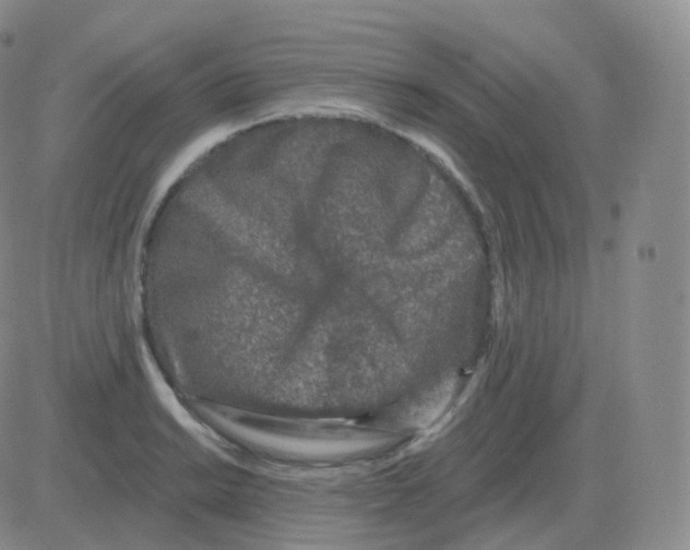 X0000082681038200702232133