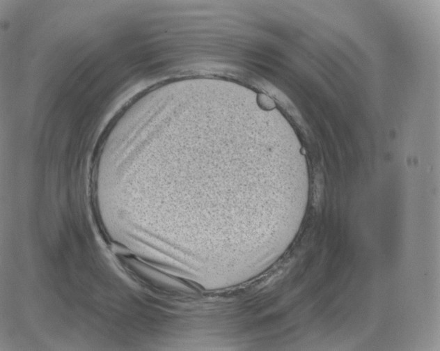 X0000082681039200702232133