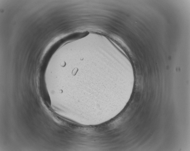 X0000082681040200702232133