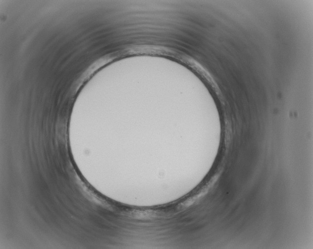 X0000082681041200702232133