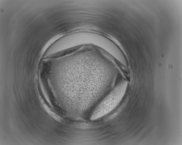 X0000082681042200702232133