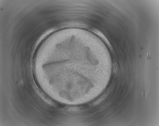 X0000082681043200702232133