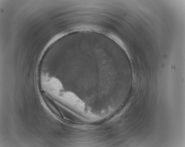 X0000082681045200702232133