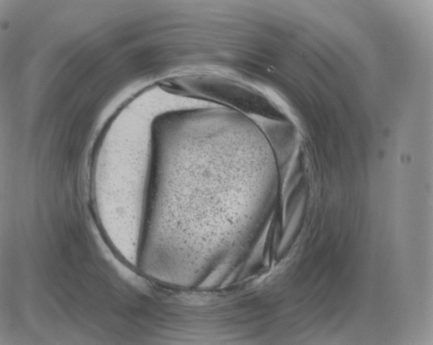 X0000082681046200702232133