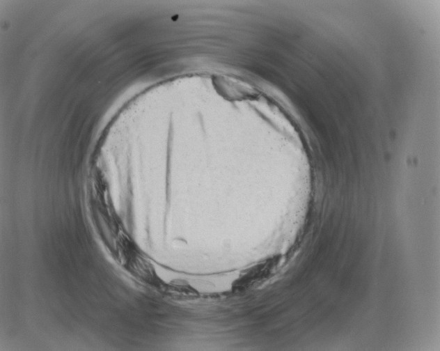 X0000082681048200702232133