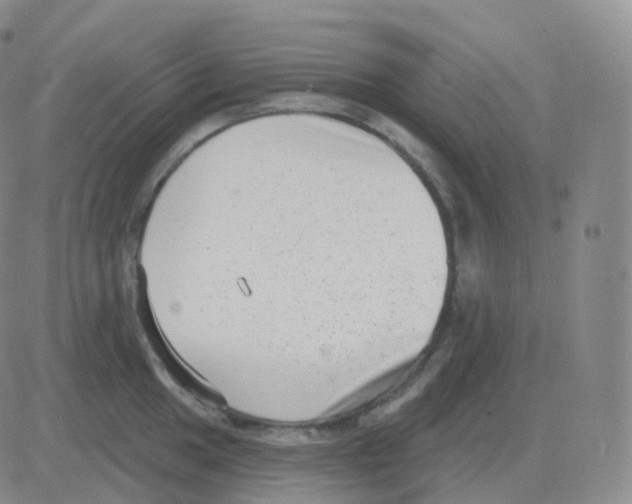 X0000082681049200702232133