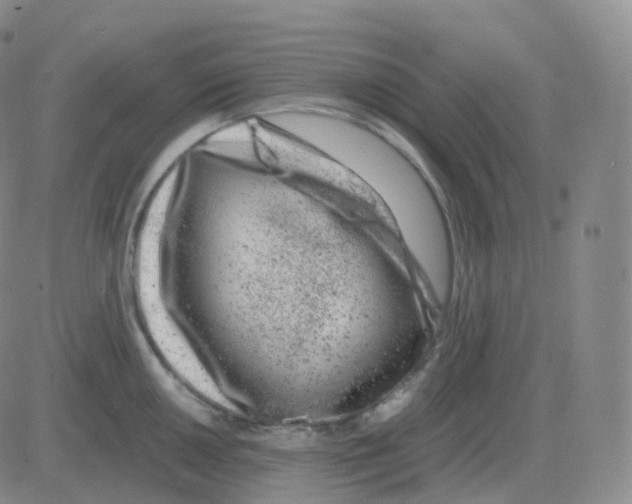 X0000082681050200702232133