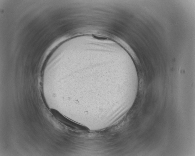 X0000082681051200702232133