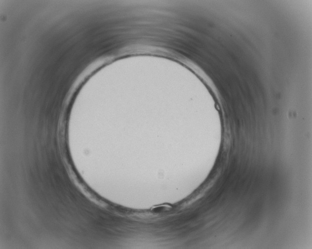 X0000082681053200702232133