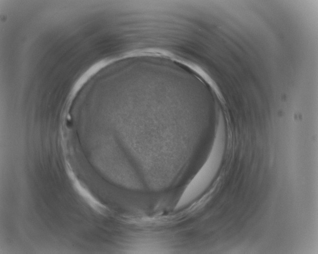 X0000082681054200702232133