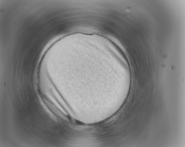 X0000082681056200702232133