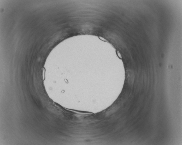 X0000082681057200702232132