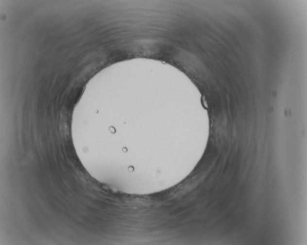 X0000082681058200702232132