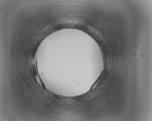 X0000082681061200702232132