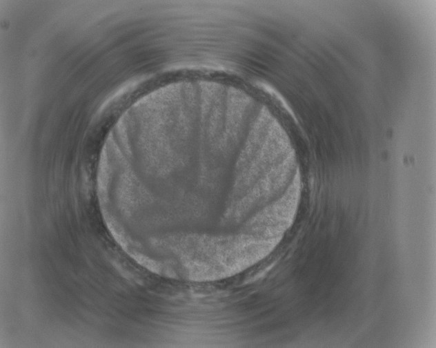 X0000082681064200702232132