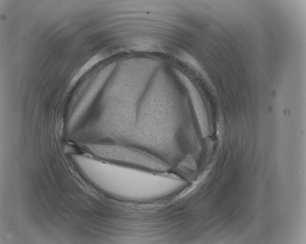 X0000082681065200702232132