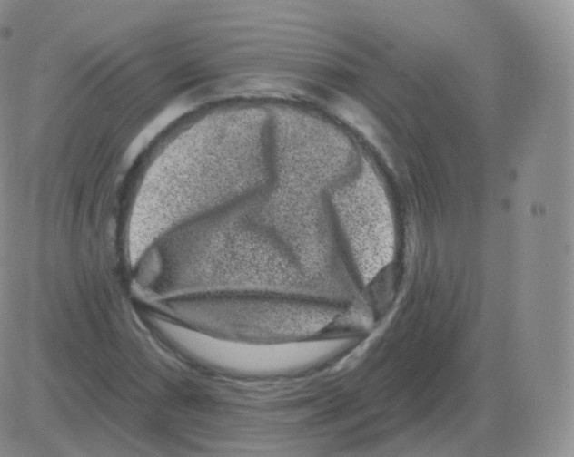 X0000082681066200702232132