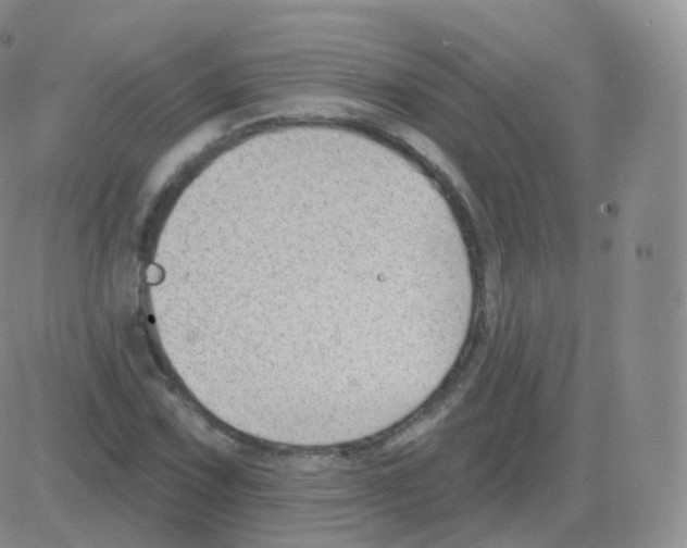 X0000082681067200702232132