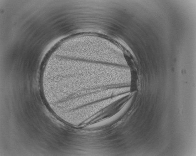 X0000082681068200702232132