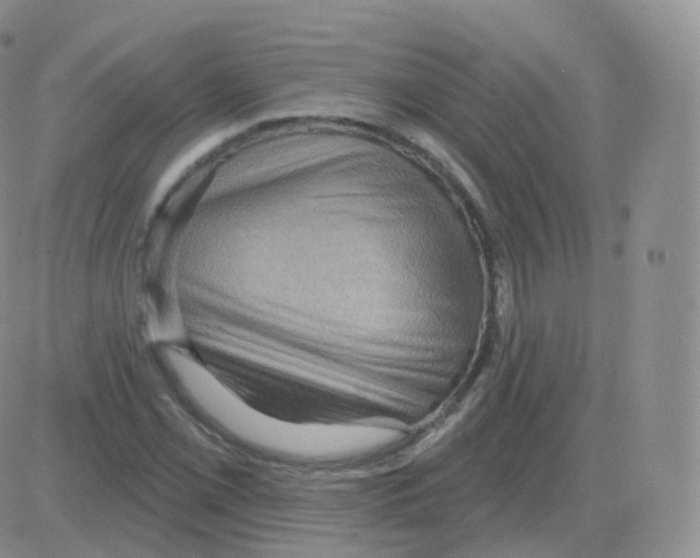 X0000082681069200702232132