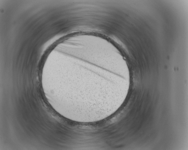 X0000082681070200702232132