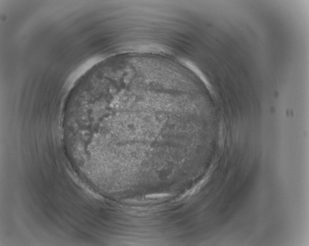 X0000082681071200702232132