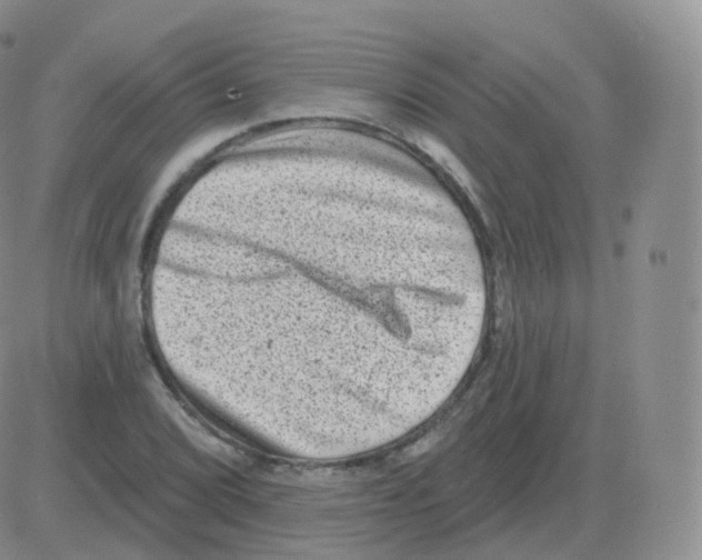 X0000082681072200702232132