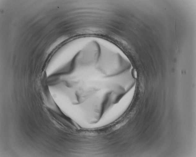 X0000082681073200702232132