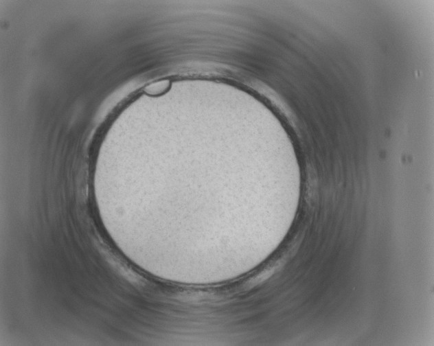 X0000082681075200702232132