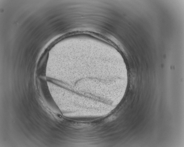 X0000082681076200702232132