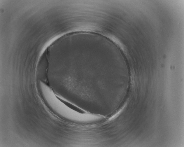 X0000082681077200702232132