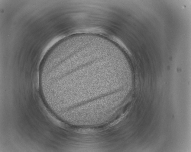 X0000082681079200702232132